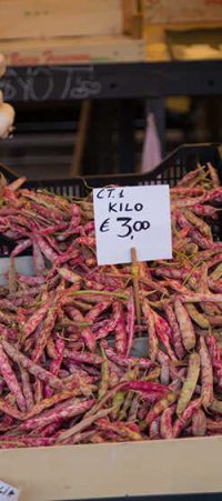 Photograph in Venice, Italy - Some Trips Album